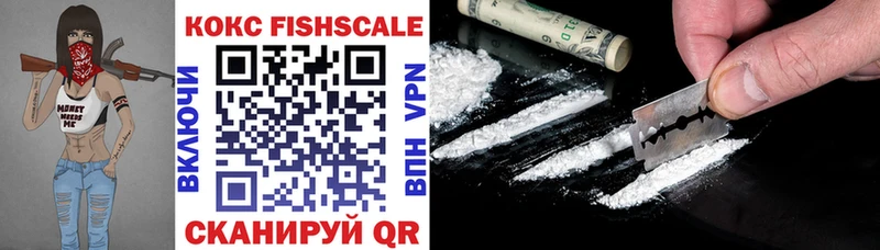 Cocaine FishScale  Купить  Михайловка 