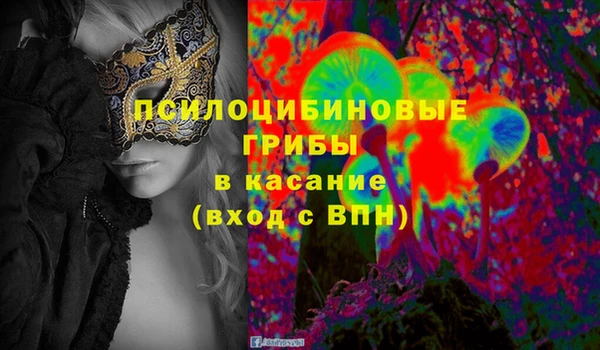 дживик Елизово