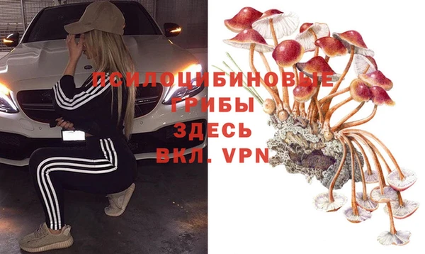 бутират Елабуга