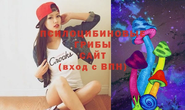 бутират Елабуга