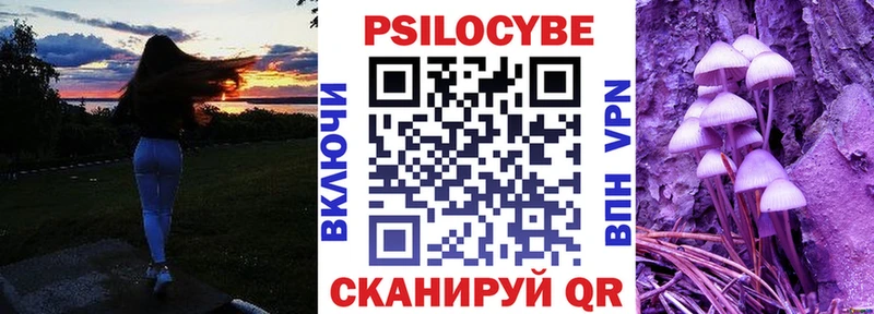 Галлюциногенные грибы GOLDEN TEACHER  Купить где  Михайловка 
